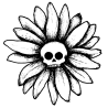 Deadly Daisies